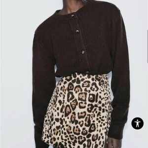 Zara Leopard Print Skirt